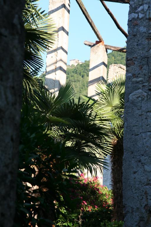 Villa Residence La Limonaia Gargnano Rum bild